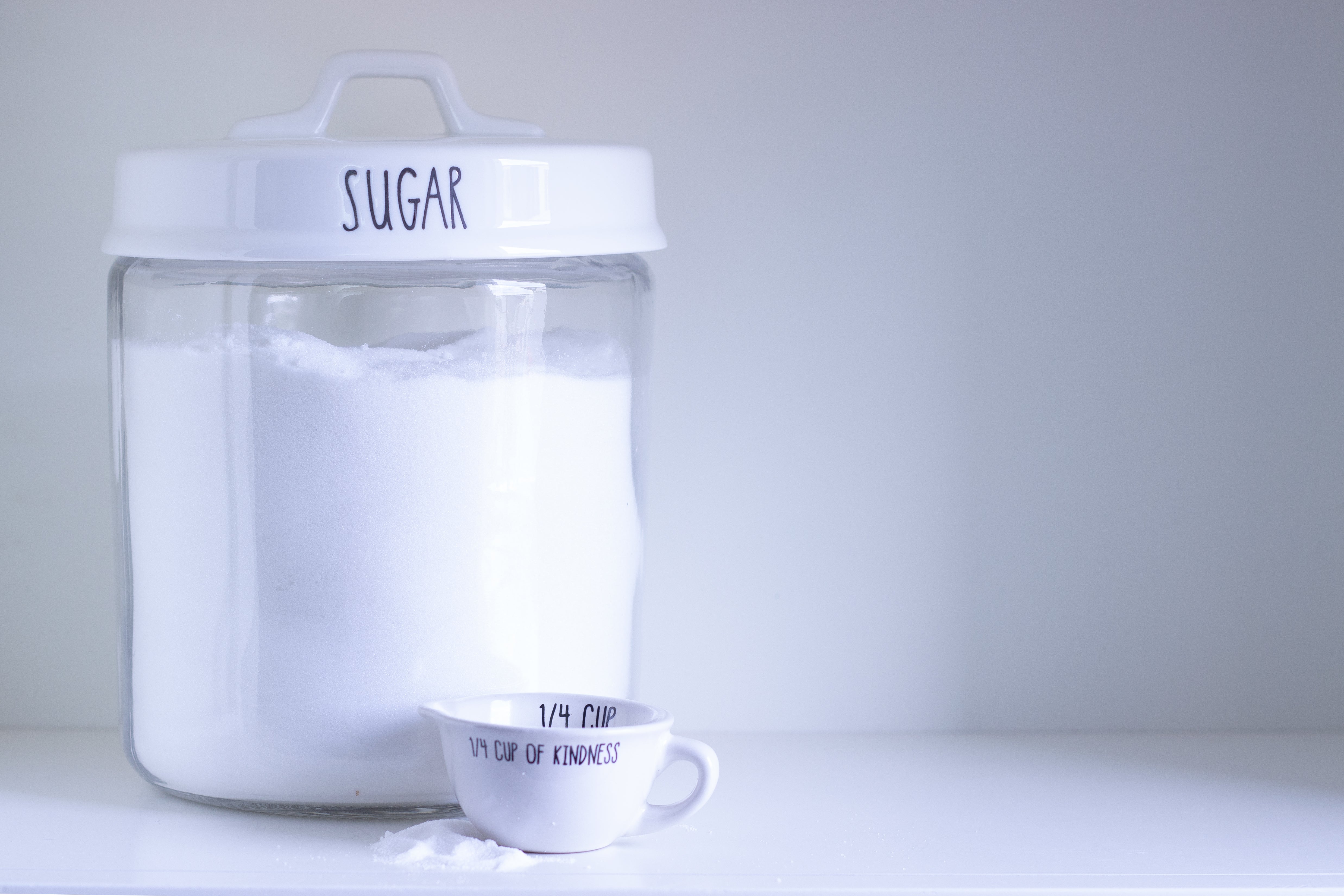 Flour & Sugar 4 qt. Glass Jars with Porcelain Lids